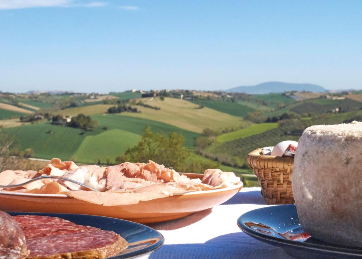 Il Gallo Silvestre - Bed&Books Montecassiano ภายนอก รูปภาพ