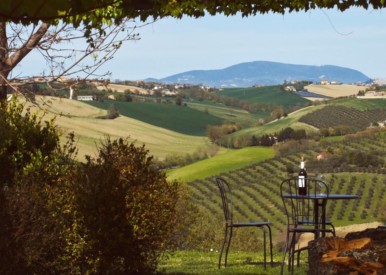 Il Gallo Silvestre - Bed&Books Montecassiano ภายนอก รูปภาพ