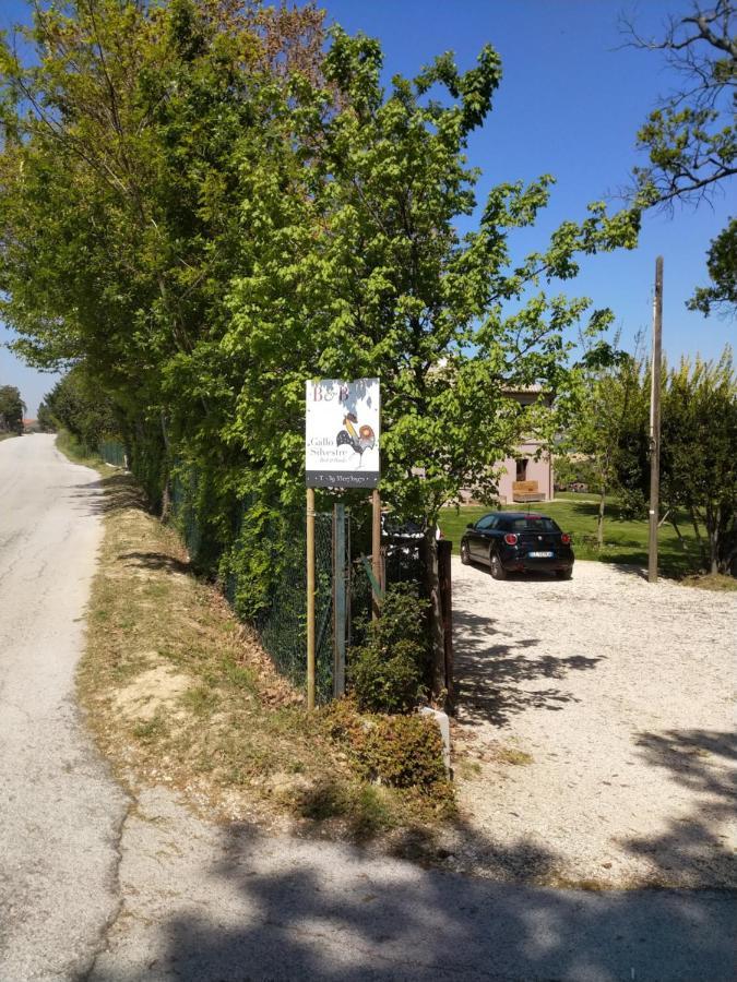 Il Gallo Silvestre - Bed&Books Montecassiano ภายนอก รูปภาพ