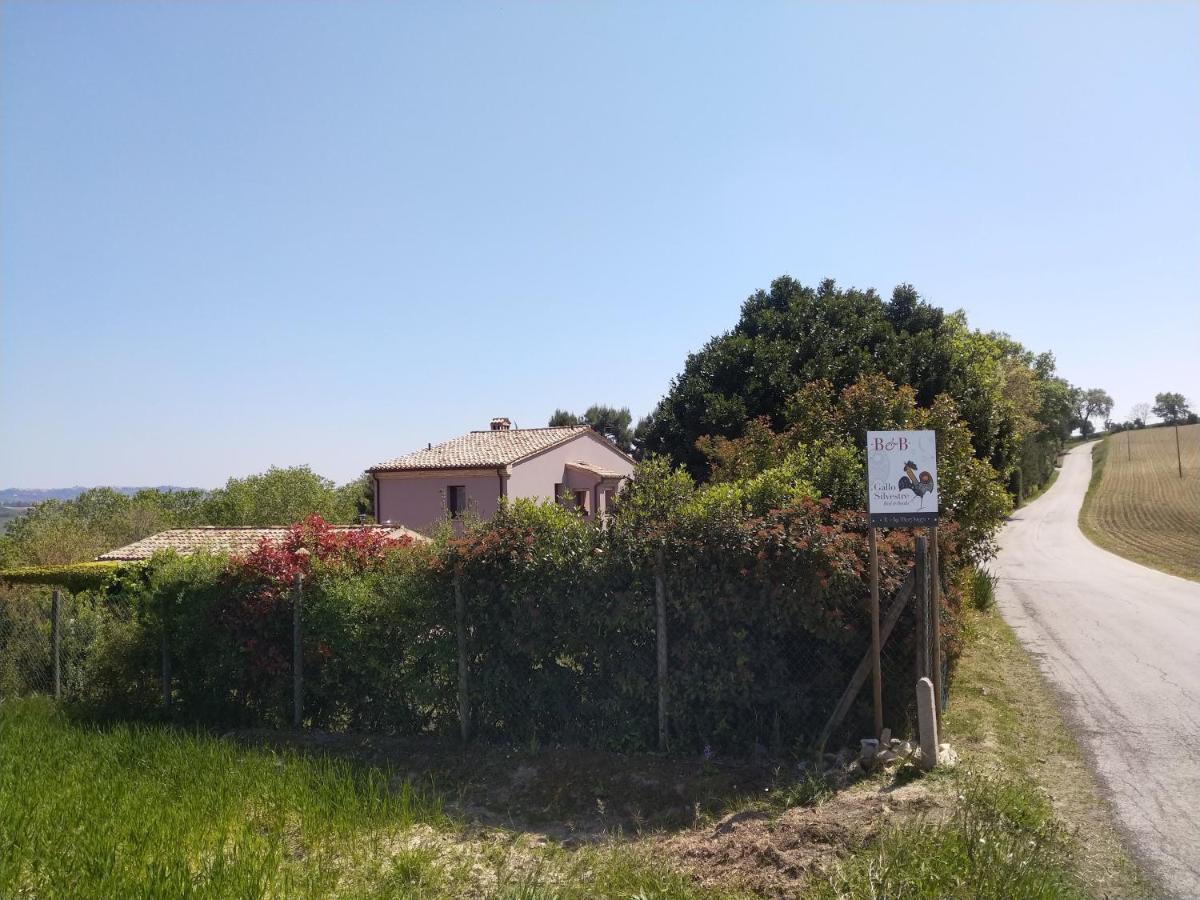 Il Gallo Silvestre - Bed&Books Montecassiano ภายนอก รูปภาพ