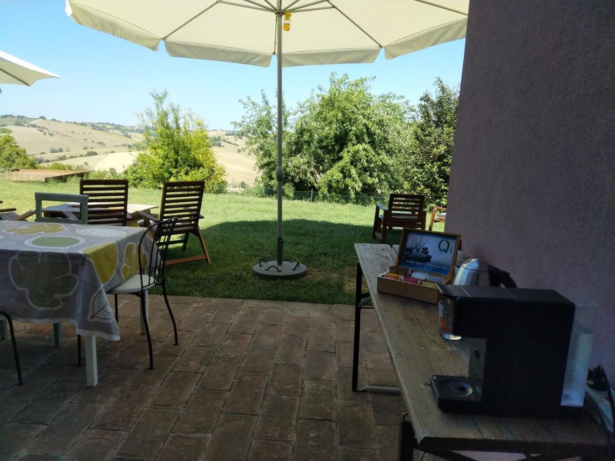 Il Gallo Silvestre - Bed&Books Montecassiano ภายนอก รูปภาพ