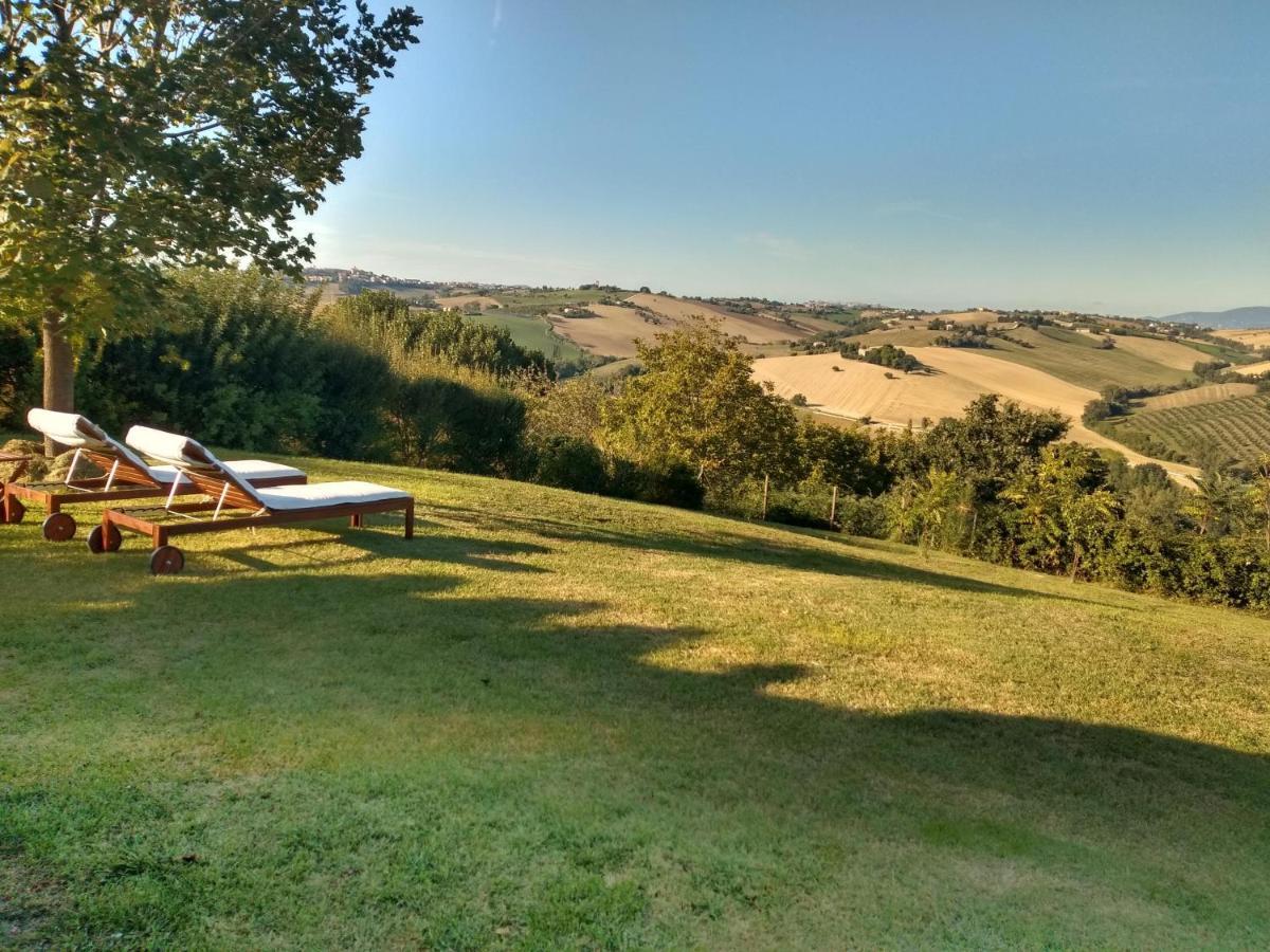 Il Gallo Silvestre - Bed&Books Montecassiano ภายนอก รูปภาพ