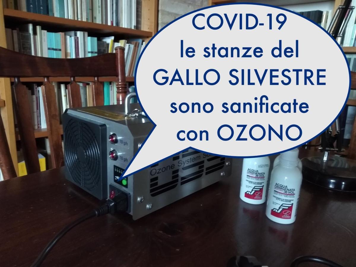 Il Gallo Silvestre - Bed&Books Montecassiano ภายนอก รูปภาพ